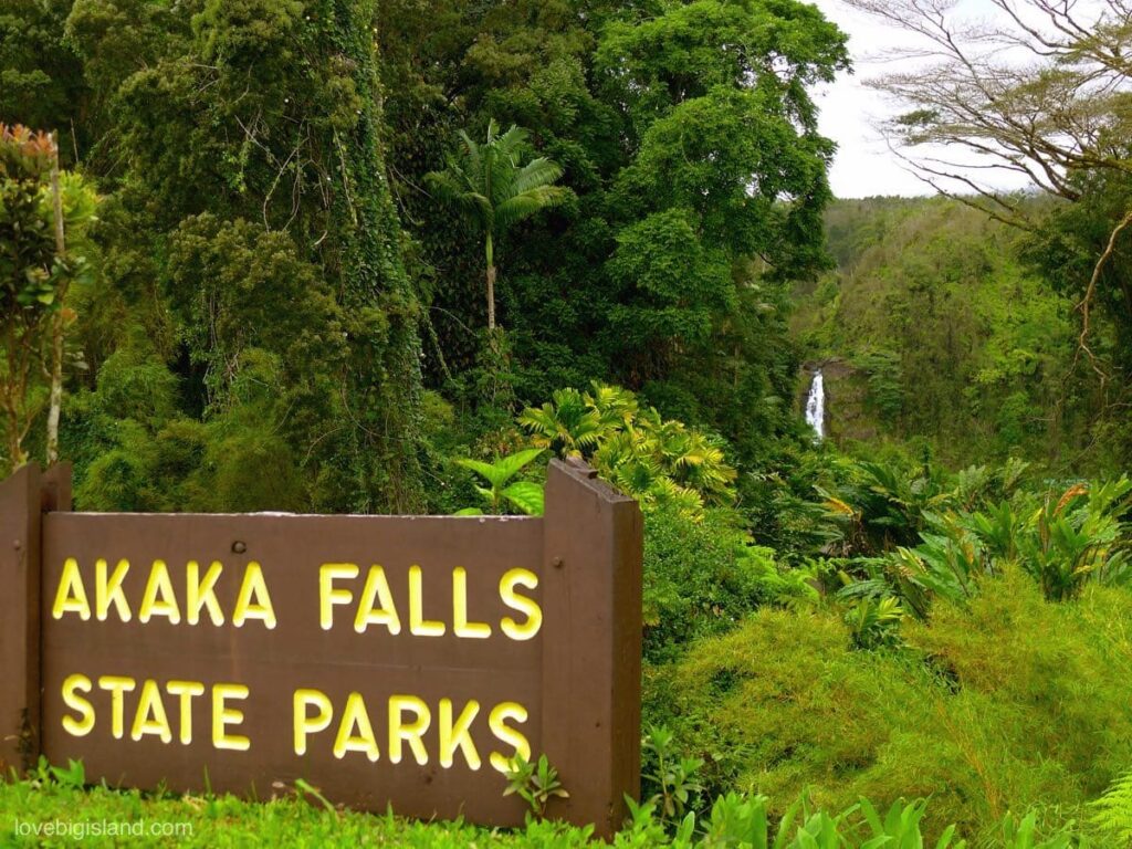 Akaka_falls
